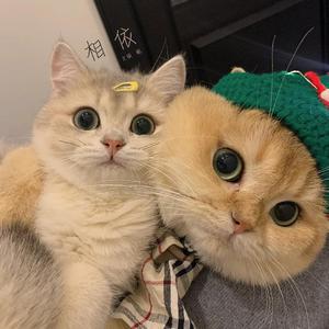 黑人又目又米又网硬
