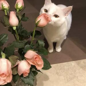 黑人又目又米又网硬
